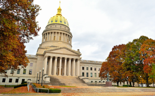 Nine bipartisan candidates running for local office in Charleston have joined forces to tackle the region's most pressing issues, including the overdose crisis, broadband access and cannabis decriminalization. (Adobe Stock)