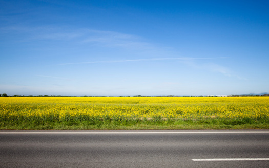 In examining two North Dakota tribal communities, a new data project says the average length voters have to travel to cast their ballot is 60 miles. (Adobe Stock)