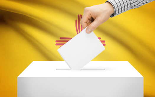 An estimated 29 million Latinos are eligible to vote in the United States, with a record 11.7 million voting in the 2018 midterms. (niyazz/Adobe Stock)
