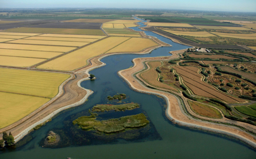 Fields amid a sinking delta in California's Central Valley. (California Dept. of Water Resources)