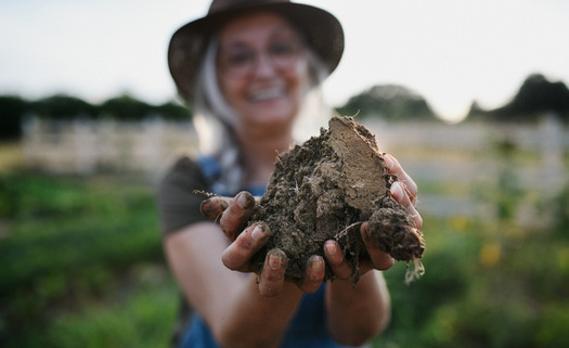 According to a report by One Earth, since the beginning of agriculture. 133 gigatons of carbon have been lost from soils. Regenerative agriculture is designed to keep that carbon in the soil. (Adobe Stock)