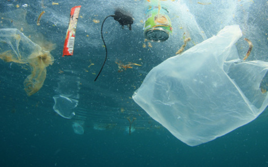 A study found less than a tenth of plastic waste has been recycled. (Richard Carey/Adobe Stock)