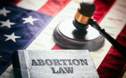 A poll conducted in March found that 55% of Nebraskans oppose banning abortions, compared with 40% who support a ban. (Adobe Stock)