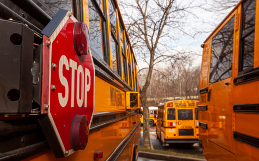 The Volkswagen Settlement will fund 161 new school buses across the state, the majority of which will be electric. (Adobe Stock)