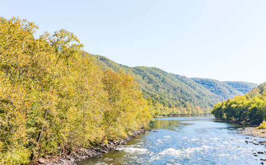 Hundred-year-old trees, such as those found in West Virginia's Monongahela National Forest, continue to soak up carbon over time, according to research published in the journal Nature. (Adobe Stock)