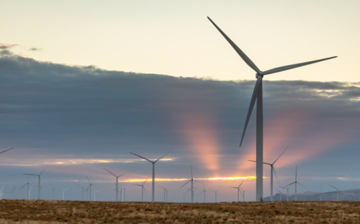 The Wheatridge Renewable Energy Facility has 300-megawatt wind farms and a 50-megawatt solar farm. (Chad/Adobe Stock)