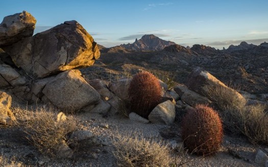 Advocates say the creation of a new national monument at Spirit Mountain would be a boon to the outdoor economy in Southern Nevada. (Kirk Peterson)
