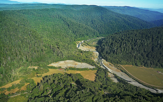 The site of the old Orick Mill has been a top priority for conservation groups because it is a scar on the landscape in California's old-growth redwood forest. (Save the Redwoods League)