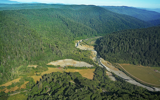 The site of the old Orick Mill has been a top priority for conservation groups because it is a scar on the landscape in California's old-growth redwood forest. (Save the Redwoods League)