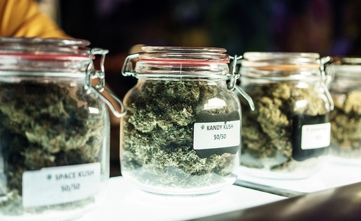 Since recreational marijuana became legal in 2020, sales have grown to $160 million a month in Illinois. (ayehab/Adobe Stock)