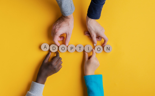 In Arkansas, foster parents and adoptive parents must be at least 21 years of age. In adoptions, an age difference of no more than 45 years between the child and adoptive applicant is preferred.(Gajus/Adobe Stock)