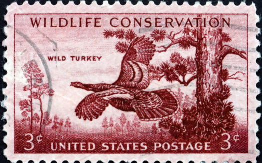 Current funding for the State Wildlife Grants Program is $65 million per year. (Adobe Stock)