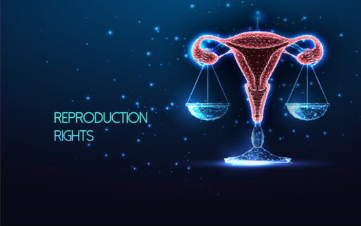 Since the U.S. Supreme Court overturned the 50-year ruling that guaranteed the right to abortion, emboldened conservative groups now want the courts to impose further restrictions. (Inna/AdobeStock)