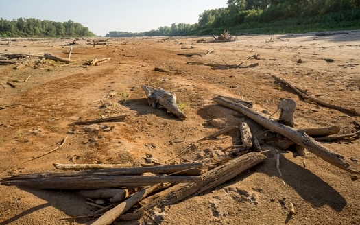 Climate driven-drought has left only driftwood and sand in the channel where the Mississippi and Missouri rivers converge. (Rob Shepard-Danita Delmont/Adobe Stock)