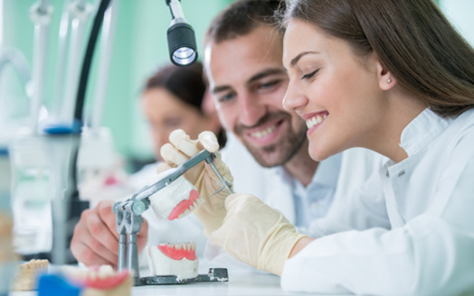 Dental therapists master about one-quarter of the specific competencies of dentists. (Adobe Stock)