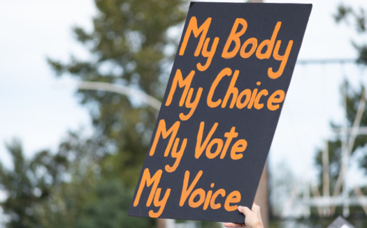 Over 37,000 abortions were performed in Georgia in 2020, according to the Centers for Disease Control and Prevention. (Trac1/Adobe Stock)