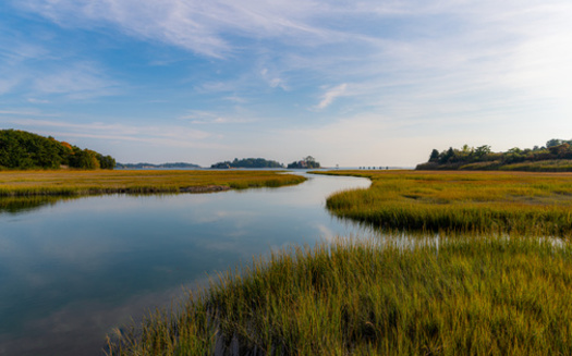 Of 53 bay segments monitored, 57% received grades of C, D or F because of high pollution levels, according to the 2022 Save the Sound Report Card. (Adobe Stock)