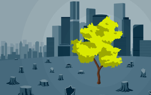 According to the New York State Department of Environmental Conservation, deforestation makes up 12 to 20% of global greenhouse gas emissions. (Adobe Stock)