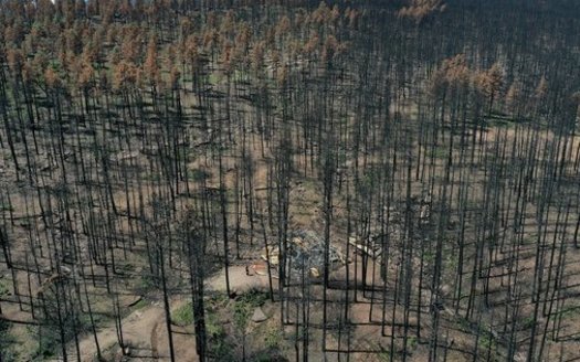 The Calf Canyon/Hermits Peak Fire burned through a number of rural, isolated Hispanic communities, settlements, and family homesteads dating back centuries. (nmfwri.org)