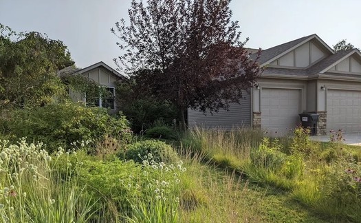 A residential grass-to-prairie lawn conversion is shown in Lincoln, Neb., by Monarch Gardens. (Photo courtesy of Benjamin Vogt)
