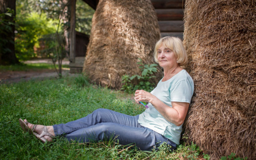 According to a report from AARP New York, one solution to lack of accessible rural homes for seniors would be to create a tax credit of up to $2,750. It would be available to homeowners who retrofit their homes to make them more accessible to those who use walkers or wheelchairs or have trouble with steps. (Adobe Stock)