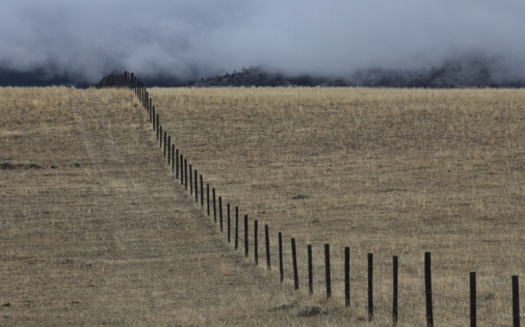 Lowering top wires on fencing to 40 inches or lower decreases the chances of animals becoming entangled as they jump over. (F&J McGinn/Adobe Stock)