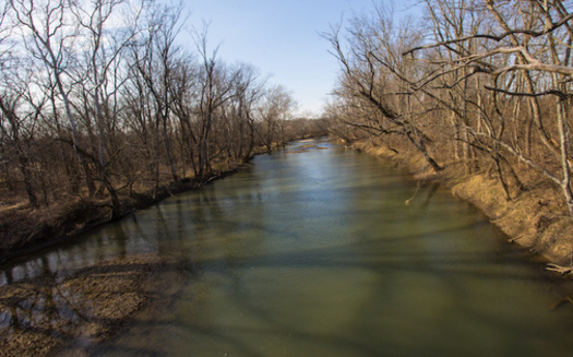 Forty-one species of freshwater mollusk live in Darby Creek waters, eight of which are on the Ohio endangered list, according to the Ohio Department of Natural Resources. (Adobe Stock)