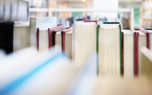 Last fall, the American Library Association said the number of attempts to ban or restrict library resources in schools, universities and public libraries was on track to exceed record counts from 2021. (Adobe Stock)