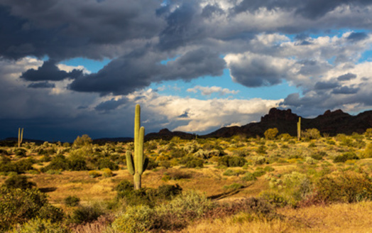 According to Arizona's state climatologist, the last two monsoon seasons and triple-dip La Niña winters are all playing a role in the long-term drought improvements. (Adobe Stock)