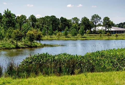 Federal agencies such as FEMA, the Army Corps of Engineers, and the EPA now offer guides on how communities can incorporate nature-based, green solutions. (clcwa.org)