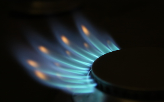 Unburned gas from stoves and building pipelines collected in the greater Boston area contained twenty-one different hazardous air pollutants known as volatile organic compounds, including benzene, which increases risks for asthma, cancer, and other illnesses. (Adobe Stock)<br />
