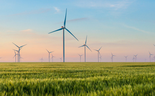 Wind power is the most productive renewable energy source in the U.S., generating nearly half of America's renewable energy, according to the World Economic Forum. (Adobe Stock)