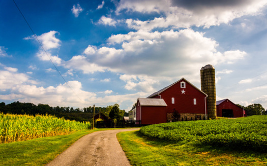 94% of New Hampshire's more than 1,300 senior farmers do not have a young (under 45) farm operator working with them suggesting an uncertain future of many of these operations, according to American Farmland Trust. (Adobe Photo) 