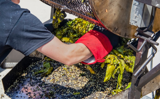 Water scarcity in the U.S. Southwest, augmented by drought, climate change, and increased competition for the resource creates uncertainty for those who grow chile peppers in the Rio Grande Valley. (Susan Vineyard/Adobe)