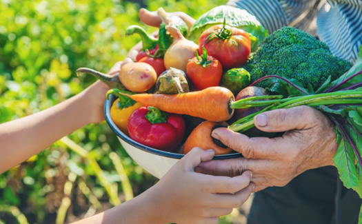 While the USDA recommends a diet of 50% fruits and vegetables, only 4% of farm subsidies support their production. (Adobe Stock)