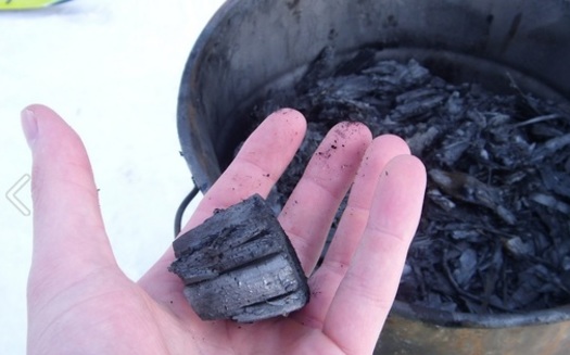 The Biochar Research Network Act would have set up as many as 20 biochar research facilities across the country. (K.salo.85/Wikimedia Commons)