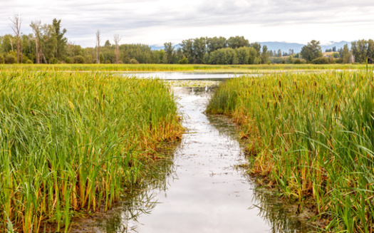 Many streams in Montana are seasonal, which can make them difficult to protect. (Robert Paulus/Adobe Stock)