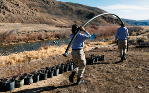 The USCAP funded a riparian revegetation project along the East Fork of the Salmon River at White Clouds Preserve. (Idaho Conservation League)