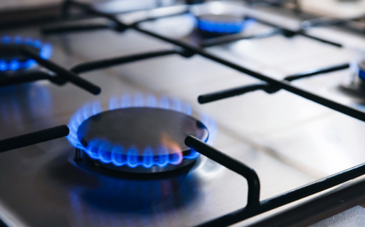 California Gov. Gavin Newsom is asking the Federal Energy Regulatory Commission to find out whether anti-competitive behavior in the fossil-fuel industry may have spiked natural gas prices in the Western U.S this winter. (Proxima Studio/Adobe Stock)