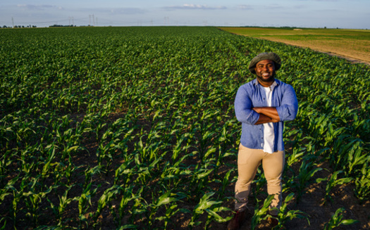Black farmers made up 14% of U.S. farmers in 1920, but having been denied equal access to land, financing and other resources, that number dwindled to 1.4% in 2017, according to the U.S. Census of Agriculture. (Adobe Stock)