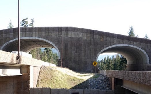 The wildlife crossings over I-90 are considered crucial for creatures in the Cascades. (Washington State DOT/Flickr)