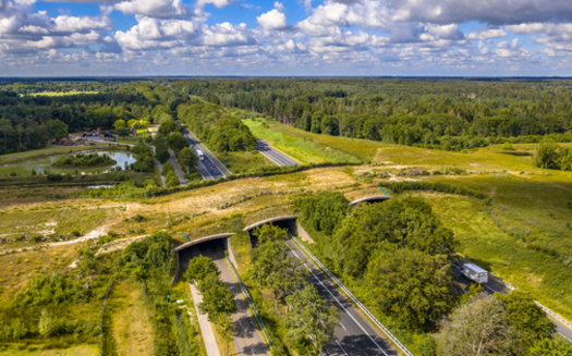 Wildlife crossings help reduce habitat fragmentation and increase landscape connectivity. (Adobe Stock)