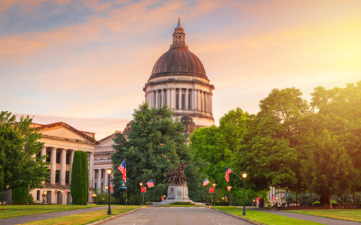 Bills, such as one that would introduce ranked choice voting, must be voted out of their committee of origin by Friday to advance in this session in Olympia. (SeanPavonePhoto/Adobe Stock)