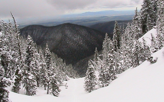 In 2022, the state approved Habitat Montana funds to open up access to the Big Snowy Mountains in central Montana. (Forest Service Northern Region)