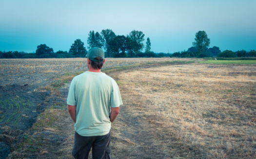 Like many sectors, agriculture is under pressure to reduce emissions that contribute to climate change. But policies like the Inflation Reduction Act are providing extra funding, so more farmers can tap into programs that help improve soil health and water quality. (Adobe Stock)