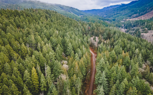 Leaders from Port Angeles, Washington, asked the state to stop logging in a forest near the Elwha River known as Aldwell. (forest2sea.com)