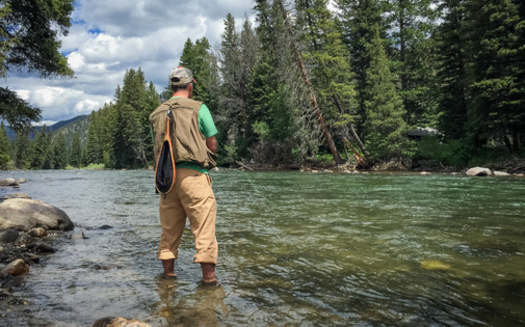 The Gallatin River in southwest Montana is a tributary of the Missouri River. (melissadoar/Adobe Stock)