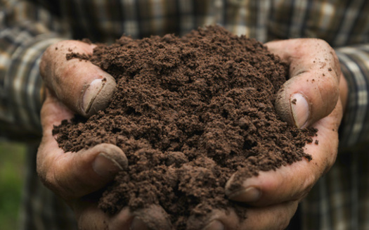 Federal conservation programs are designed to help farmers implement practices that make their land more resilient to climate change, including improving soil health. (Adobe Stock)