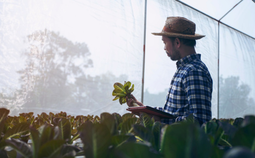 Black farmers ran 14% of all U.S. farms in 1920 and 1.6% in 2017. The Inflation Reduction Act includes more than $2 billion for farmers and ranchers who can show they have been discriminated against in USDA lending programs. (Adobe Stock)