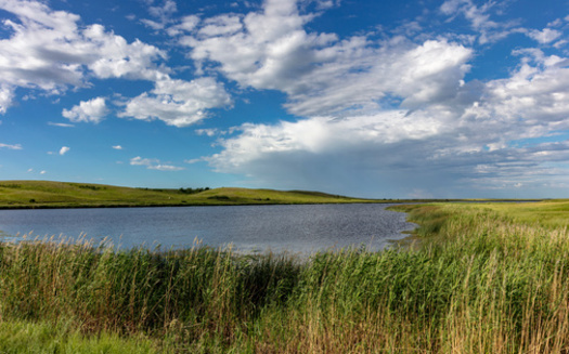 Wetlands are areas where water covers the soil, or is present either at or near the surface of the soil all year or for varying periods of time, including during the growing season, according to the U.S. Environmental Protection Agency. (Adobe Stock)